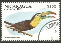 684 Nicaragua Toucan Tukan Tucan Tucano (NIC-441) - Cuckoos & Turacos