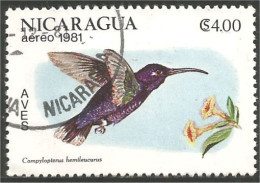 684 Nicaragua Oiseau-mouche Colibri Hummingbird Kolibrie Kolibri (NIC-439) - Colibríes