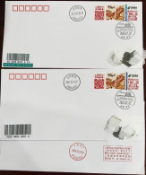 China Cover 20240202 Northern Xiaonian Actual Sending Jin 2023-4 China Year In Xinzhou TS71 - Postkaarten