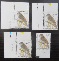 2577 'Buzin: Rietzanger' - Hoekdatums En Plaatnummer - Postfris ** - 1985-.. Oiseaux (Buzin)