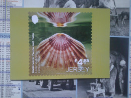 Jersey, 9 Cartes, Postale, Underwater Fauna & Flora, La Faune Et La Flore Sous-marines, - Jersey