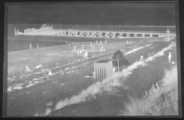 GRANDE PLAQUE DE VERRE, EMBARCADÈRE DE FROMENTINE. ESTACADE. VENDÉE. ILE D'YEU. 1950 - Glasplaten