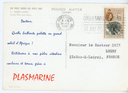 LABORATOIRE PLASMARINE DU POLE NORD AU POLE SUD V SIERRA LEONE JEUNE FILLE AUX FLEURS CP 1950 FREETOWN => FRANCE STRASBO - Sierra Leona (...-1960)