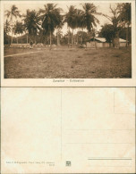 Sansibar Zanzibar زنگبار‎ Coltivation - Tansania Tanzania 1931 - Tanzanía