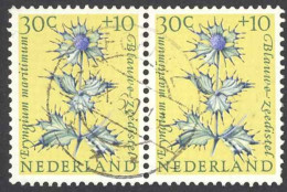 Netherlands Sc# B347 MNH Pair 1960 Blue Sea Holly - Neufs