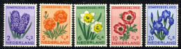 Netherlands Sc# B249-B253 MNH 1953 Flowers - Ongebruikt