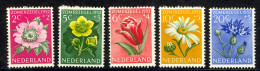 Netherlands Sc# B238-B242 MH 1952 Flowers - Unused Stamps