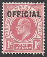 Natal Sc# O2 MH (a) Official 1904 1p King Edward VII - Natal (1857-1909)