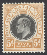 Natal Sc# 105 MH 1908 5p King Edward VII - Natal (1857-1909)