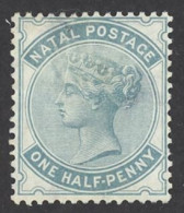 Natal Sc# 64 MH 1880 ½p Queen Victoria - Natal (1857-1909)