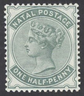 Natal Sc# 66 MH (b) 1884 ½p Gray Green Queen Victoria - Natal (1857-1909)