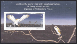 Namibia Sc# 950 MNH Souvenir Sheet 1999 Owls - Namibië (1990- ...)