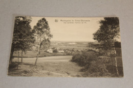 CPA - MONTIGNY LE TILLEUL - BOMEREE - VUE CARRIERES - PAVILLON DE L'M - Montigny-le-Tilleul