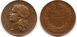 MA 31559 / Paris Médaille 1878 Exposition Universelle TTB - Other & Unclassified