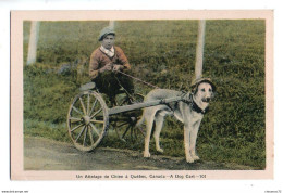 Canada Quebec 086, Quebec, PECO 101, Un Attelage De Chien - Québec - La Cité