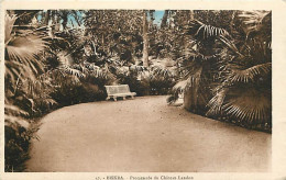 Algérie - Biskra - Promenade Du Château Landon - Colorisée - CPA - Voir Scans Recto-Verso - Biskra