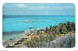 Mexique 008, Quintana Roo, Las Preciosas Aguas Cristalinas En Isla Mujeres - México