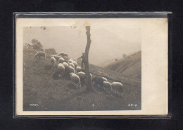 (24/03/24) 73-CPA LANSLEBOURG ET LE MONT CENIS - CARTE PHOTO - Other & Unclassified