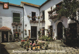 # ESPAGNE - CORDOBA  - CORDOUE / LOS PATIOS (RESTAURANT) Et MEZQUITA (lot De 3 CP) - Córdoba