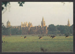 111100/ OXFORD, Christ Church, Looking Over The Meadow  - Oxford