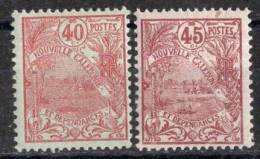 Nvelle CALEDONIE Timbres-Poste N°98*& 99* Neufs Charnières TB Cote : 2€75 - Nuevos