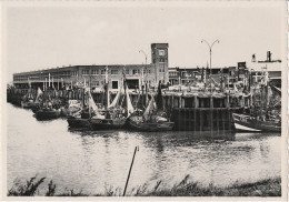 Zeebrugge  De Vismijn - La Minque - Zeebrugge