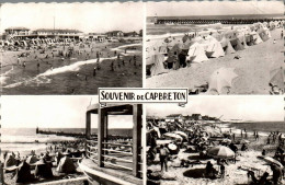 N°42272 Z -cpsm Souvenir De Cap Breton - Greetings From...