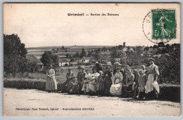 (88) 567, Uriménil, Testard, Section Des Buissons - Urimenil