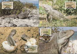 Turks & Caicos 1986, Maximumcards Unused, WWF, Iguana - Turks & Caicos