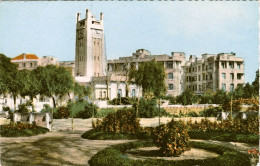 Algérie  - Mostaganem   : Place De L'Hôtel De Ville , Les Parterres Du Jardin Public - Mostaganem