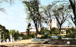 Algérie  - Mostaganem   : Place De L'Hôtel De Ville ,depuis Le Jardin Public - Mostaganem