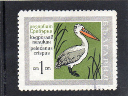 1968 Bulgaria - Petko Pellicano - Storks & Long-legged Wading Birds
