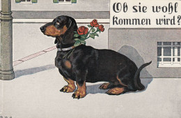 Dackel Teckel Bassotto Dachshund Dog W Roses Old Postcard Signed P.O.Engelhard - Engelhard, P.O. (P.O.E.)