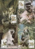 St. Kitts 1986, Maximumcards Unused, WWF, The Vervet Monkey - St.Kitts And Nevis ( 1983-...)