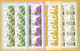 2019 Moldova Moldavie 4 Sheets "Flower Shrubs".Viburnum Opulus Roseum, Syringa Vulgaris, Forsythia, Jasminum Officinale - Moldavie