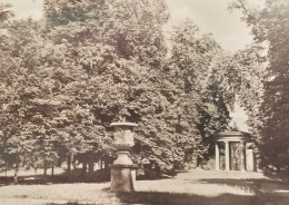 Neusterlitz - Im Stadtpark - Neustrelitz