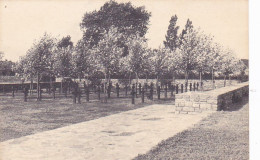 STADEN Deutscher Kriegerfriedhof  Kerkhof 152  Duitse Kaart - Staden