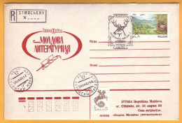 1992 Moldova Moldavie  Special Cancellations. Nature Reserve "Kodrii" Straseni Postcard Moose, Dove. - Moldavie