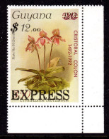 GUYANA - 1986 SANDERS REICHENBACHIA ORCHID FLOWERS EXPRESS $12 ON 320 ON 120 FINE MNH ** SG E1 - Guyana (1966-...)