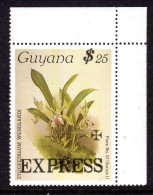 GUYANA - 1986 SANDERS REICHENBACHIA ORCHID FLOWERS EXPRESS $25 ON 25 FINE MNH ** SG E4 REF B - Guyana (1966-...)