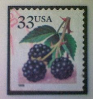United States, Scott #3297, Used(o), 1999 Definitive Booklet Stamp, Blackberries,33¢ - Gebraucht