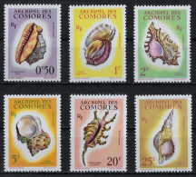 COMORES - COQUILLAGES - N° 19 A 24 - NEUF** MNH - Unused Stamps