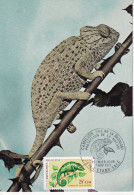 Caméléon De La Réunion   Avec Son Timbre - Schildpadden