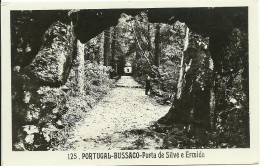 Portugal - Bussaco - Porta De Silve E Ermida - Aveiro