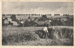 BELGIQUE - BIEVRE - SIX-PLANES - GROS PAYS - BEAU PLAN SUR FAUCHEUR DE CEREALES - AGRICULTURE - Bievre