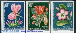 Mali 1963 Flowers 3v Imperforated, Mint NH, Flowers & Plants - Mali (1959-...)
