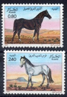 Année 1984-N°813/814 Neufs**MNH :  LES CHEVAUX : Pur Sang Arabe - Algérie (1962-...)