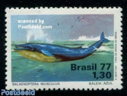 Brazil 1977 Whale 1v, Mint NH, Nature - Animals (others & Mixed) - Sea Mammals - Neufs
