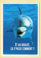Animaux : Dauphins / Et Au Boulot ça S'passe Comment ? /Zone Bleue / Carte Humoristique - Delfines