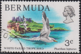 1978 Bermuda ° Mi:BM 352, Sn:BM 363, Yt:BM 353, Sg:BM 387, White-tailed Tropicbird (Phaethon Lepturus) - Bermudas